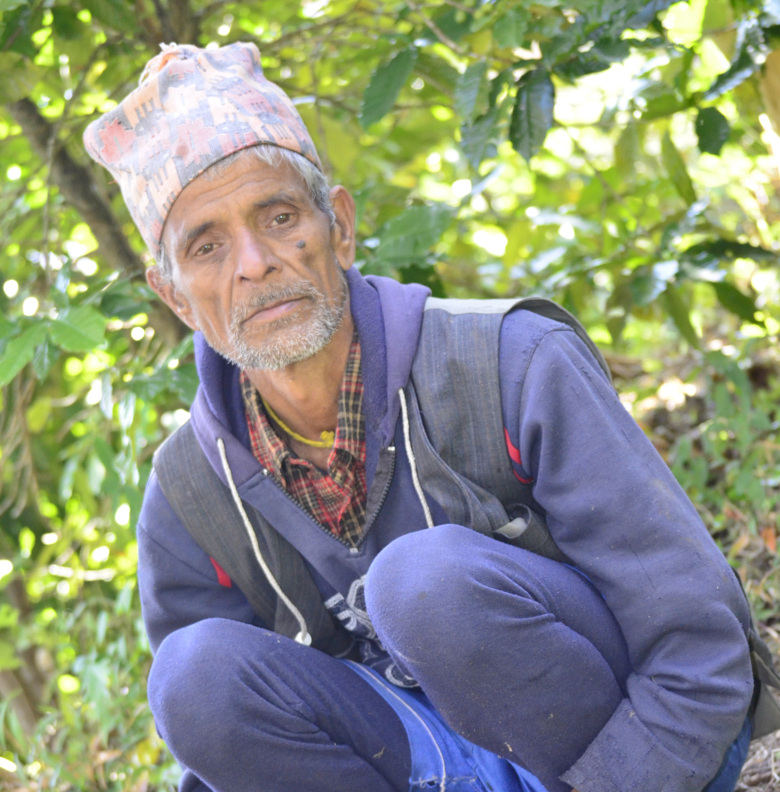 Farmer working on coffee farm